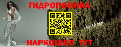 амф Новокубанск
