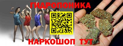 PSILOCYBIN Новодвинск