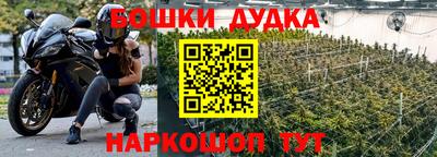 a pvp Обь