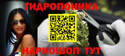 амф Новокубанск