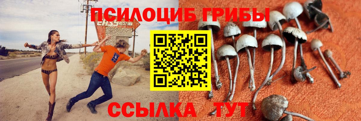 Галлюциногенные грибы мицелий Среднеуральск