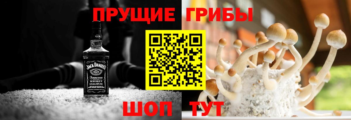Среднеуральск  Псилоцибиновые грибы мухоморы  магазин  наркотиков  Вход с VPN  Галлюциногенные грибы ЛСД 